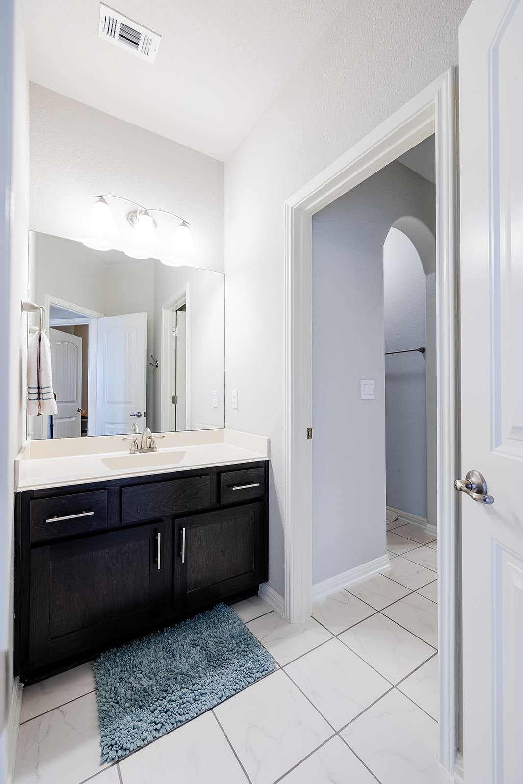 12004 Manarola Cove, photo 22